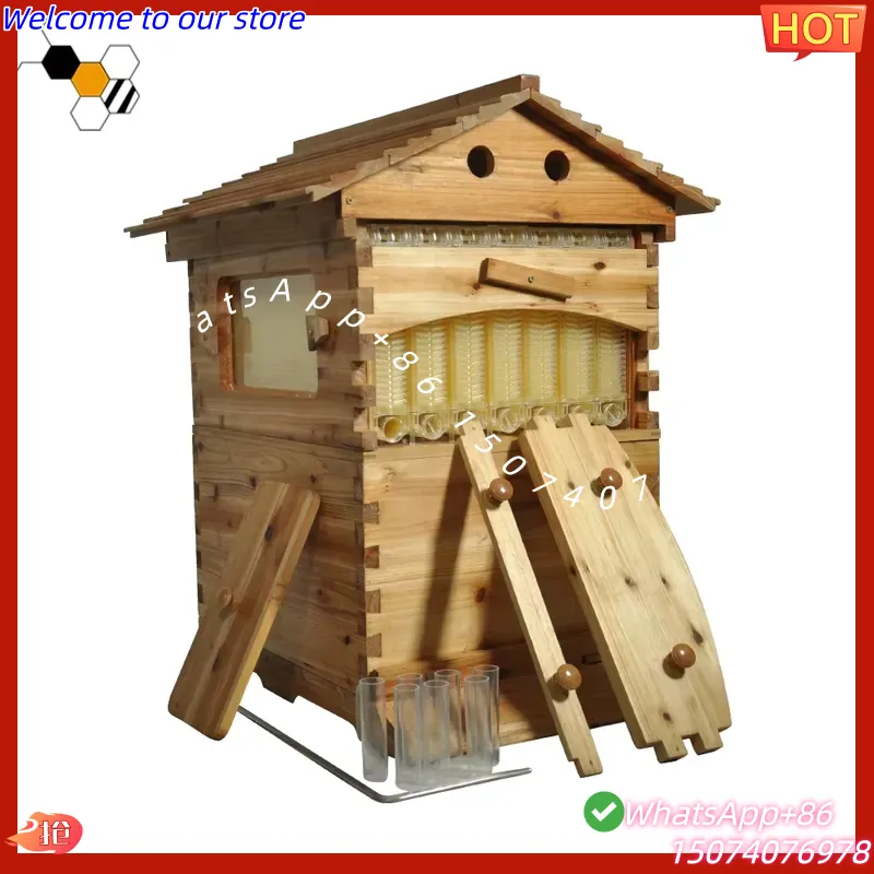 Beehive Frame Wax - 2026 Çin Balmumu Kaplı Çin Köknarı
