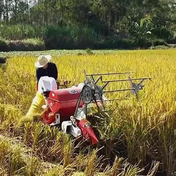 Combine Harvester Mini - Otomatik 13HP Yeni Buğday Pirinç Hasat