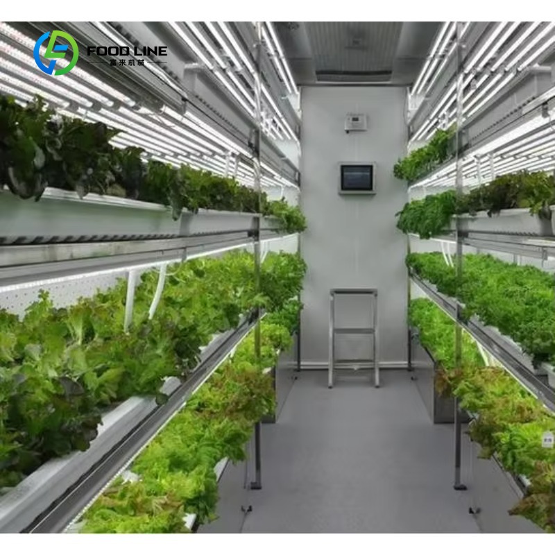 Agriculture Vertical Farming - Özelleştirilmiş Akıllı Çiftlik Dikey NFT Hidroponik