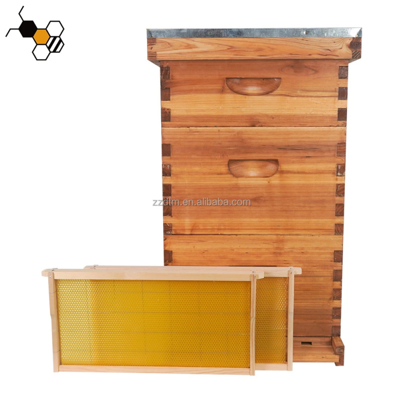 Yüksek Kaliteli 30 Çerçeveli A - Beehive Frame Wax incelemesi ve fiyatı