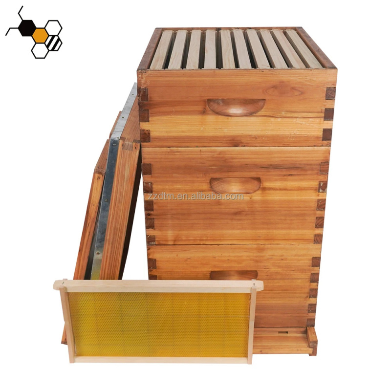 Yüksek Kaliteli 30 Çerçeveli A - Beehive Frame Wax incelemesi ve fiyatı