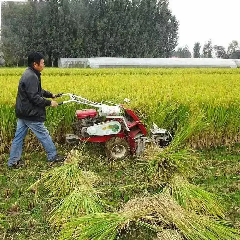 # Zımbalı Kombine Biçerdöverli - Combine Harvester Mini incelemesi ve fiyatı