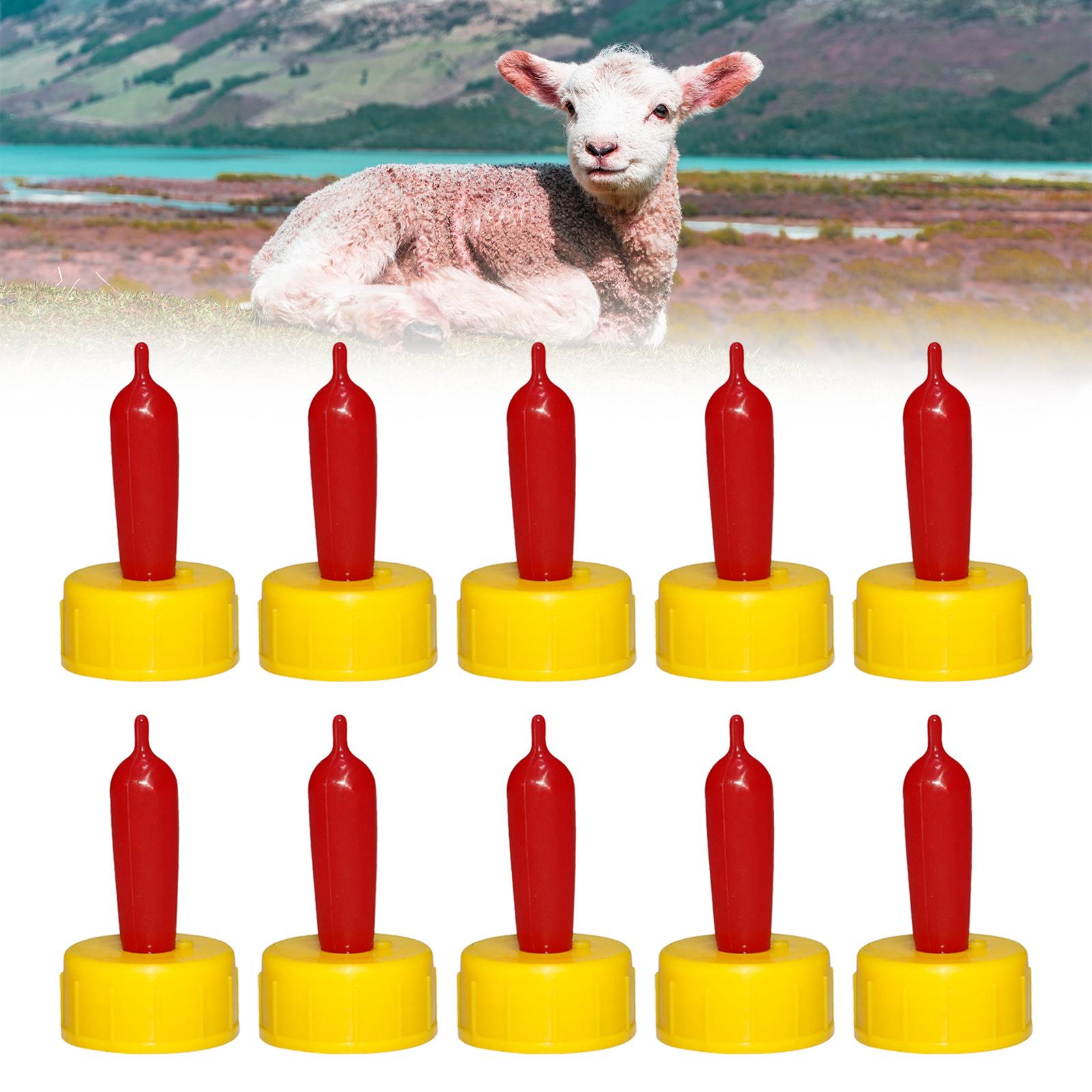 Koyun Keçi Kuzu Buzağı Emzik B - Agriculture Farming And Livestock incelemesi ve fiyatı