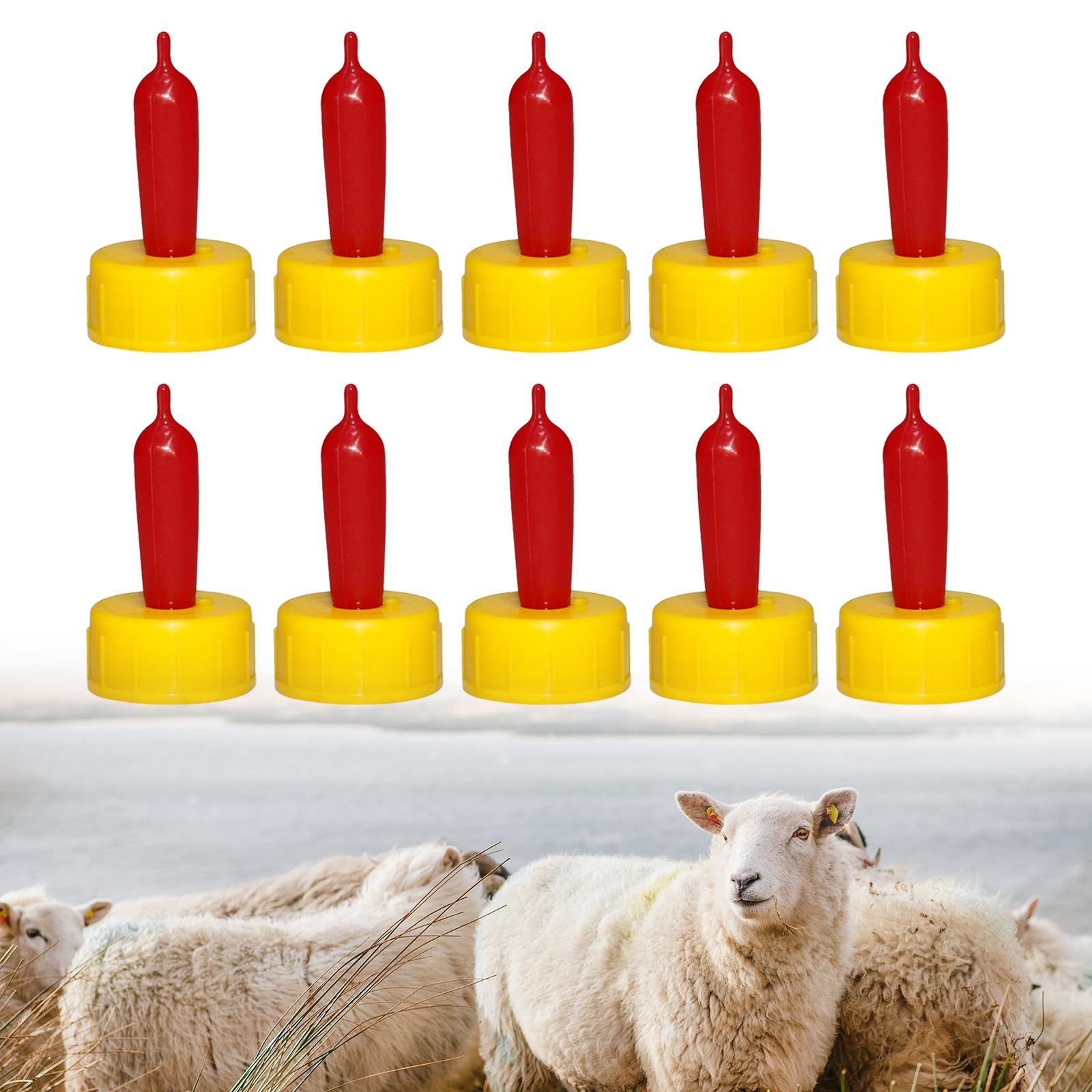 Koyun Keçi Kuzu Buzağı Emzik B - Agriculture Farming And Livestock incelemesi ve fiyatı