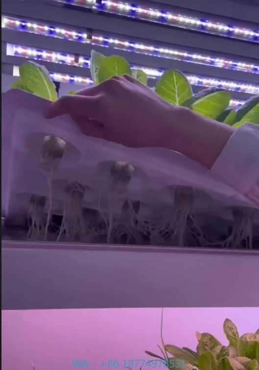 Sera Tarım Ekipmanları Mantar  - Agriculture Farming Equipments incelemesi ve fiyatı