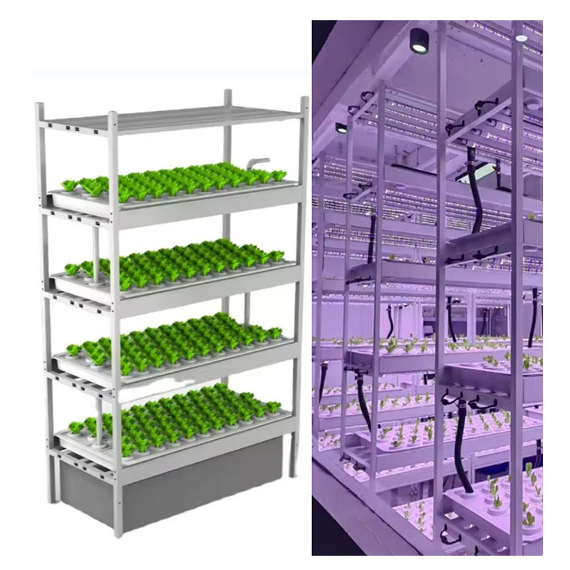 Sera Tarım Ekipmanları Mantar  - Agriculture Farming Equipments incelemesi ve fiyatı