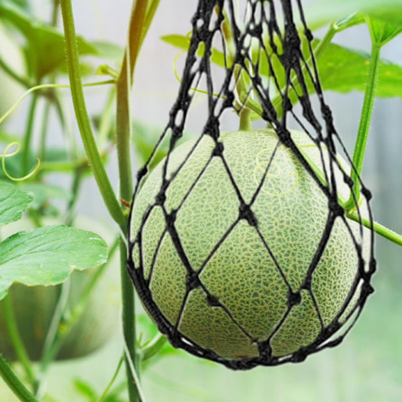 10 adet Karpuz Filesi Bahçe Di - Agriculture Vertical Farming incelemesi ve fiyatı