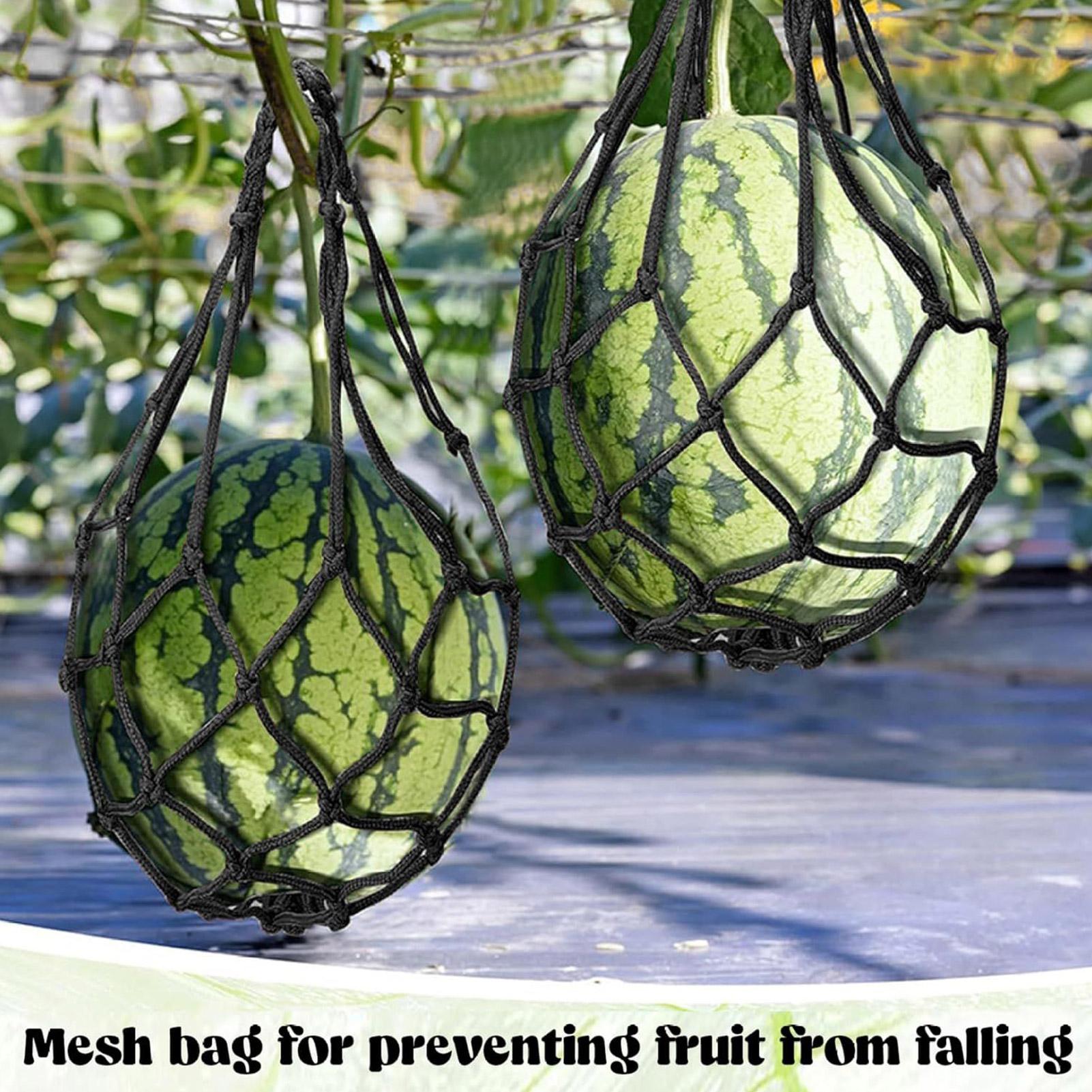 10 adet Karpuz Filesi Bahçe Di - Agriculture Vertical Farming incelemesi ve fiyatı