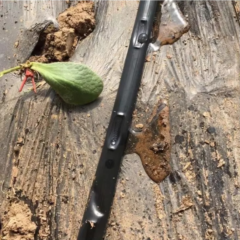 Fabrika Fiyatı: 1 Hektar Tarım - Farming Pipe For Agriculture incelemesi ve fiyatı