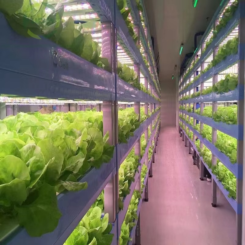Özel Tarım Seraları Hidroponik - Agriculture Vertical Farming incelemesi ve fiyatı