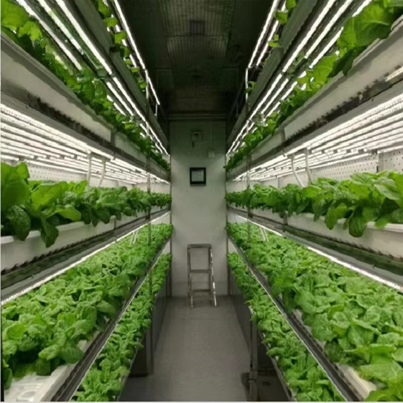 Özel Tarım Seraları Hidroponik - Agriculture Vertical Farming incelemesi ve fiyatı