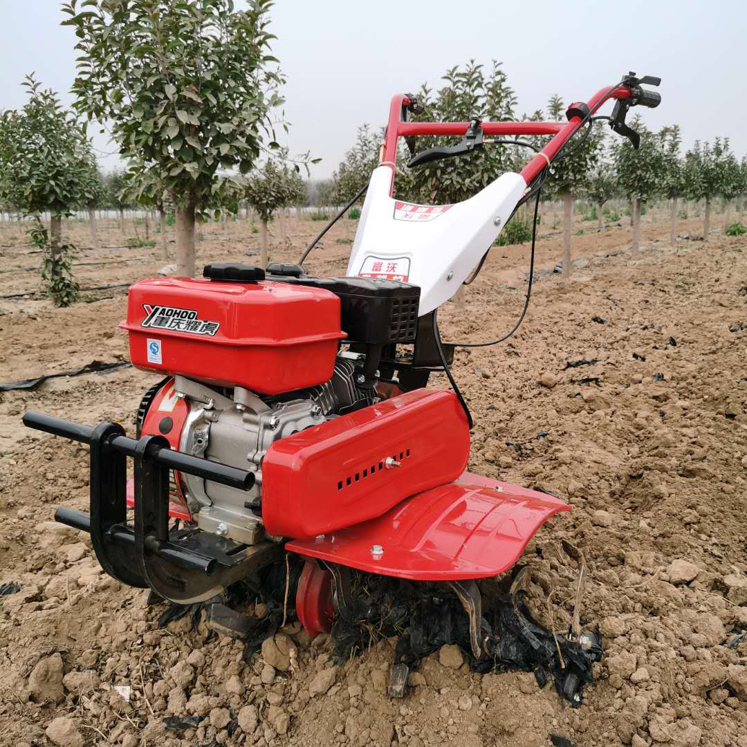 Yüksek Verimli, Uzun Ömürlü, T - Farming And Agriculture Jobs incelemesi ve fiyatı
