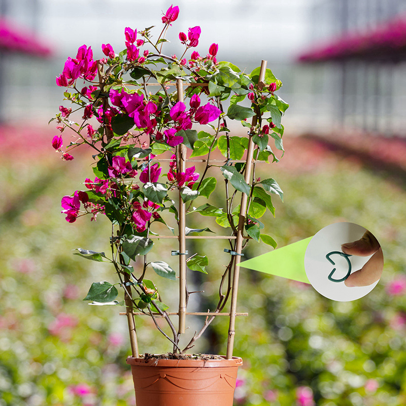 50/100 adet bahçe bitki klipsl - Agriculture Vertical Farming incelemesi ve fiyatı