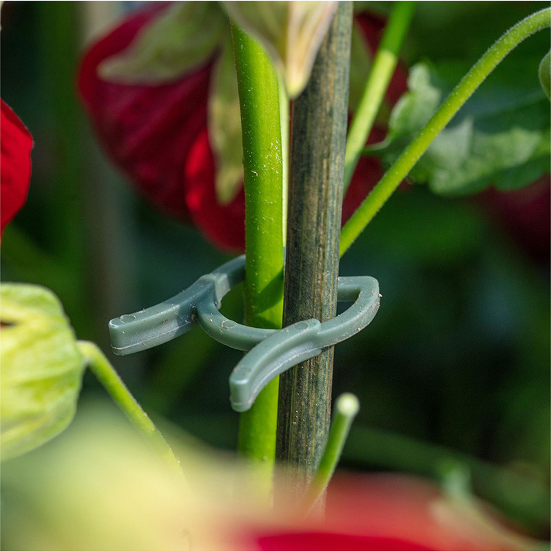 50/100 adet bahçe bitki klipsl - Agriculture Vertical Farming incelemesi ve fiyatı