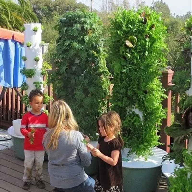 Dikey Hidroponik Yetiştirme Ku - Agriculture Vertical Farming incelemesi ve fiyatı